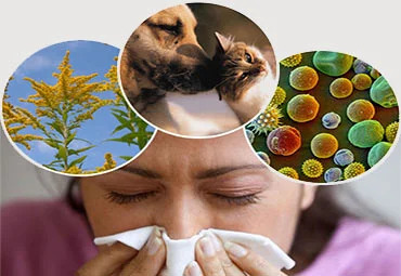 Allergy & Immunology Specialty